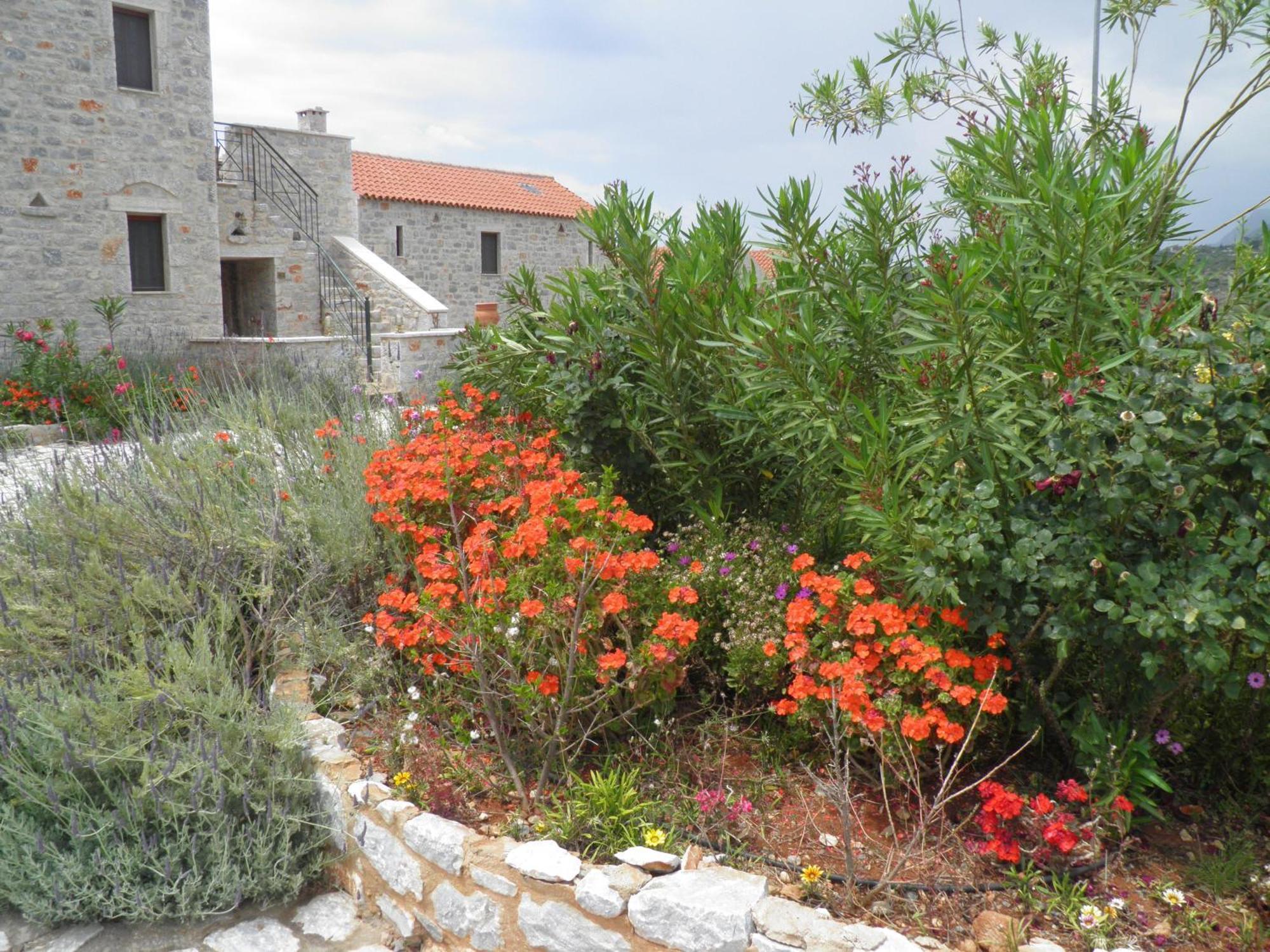 Althea Village Areopoli Buitenkant foto